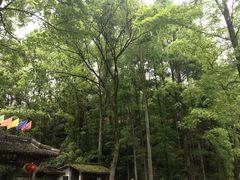 -灵栖洞天