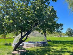 -潭柘厚院&山顶烤肉(潭柘寺店)