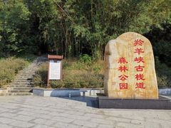 -羚羊峡古栈道森林公园