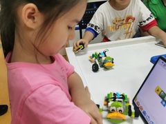 -童程童美信奥赛科技特长·乐高编程科创机器人(科大校区)