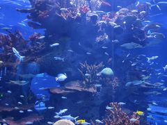 -多彩贵州城极地海洋世界