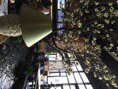 山有花啡餐厅-山有花啡餐厅(常营总店)