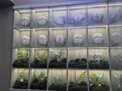 -老西门·常州菜(新区店)