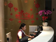 -虹桥机场国航贵宾室v8