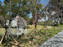 -福建鲤鱼洲酒店