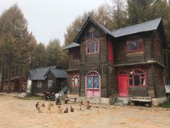 -塞罕坝国家级自然保护区