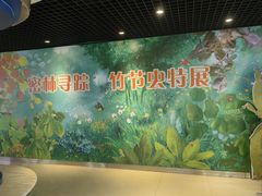 -上海昆虫博物馆