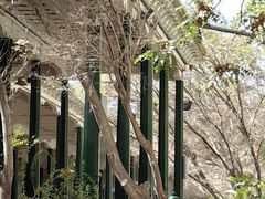 -艾提尕尔清真寺