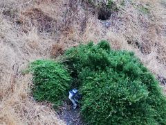 -企鹅岛