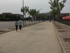 -南开大学滨海学院