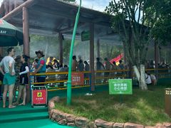 -苏州乐园森林水世界