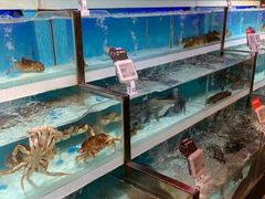 -盒马X会员店(王府井奥莱UP TOWN店)