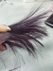 -AFA Hair studio·女士发型设计