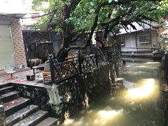 -小洲村