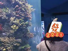 -西安曲江海洋极地公园