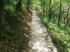 -山王坪喀斯特国家生态公园