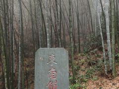 -仙霞关景区