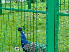 -华东政法大学(松江校区)