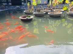 -陶辛水韵