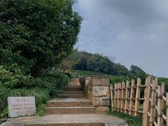 -中国茶叶博物馆(双峰馆区)