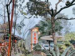 -青城甲(青城山店)