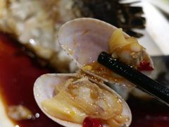 辣炒芒果螺-四川小胡子海鲜(丁村万人海鲜广场店)