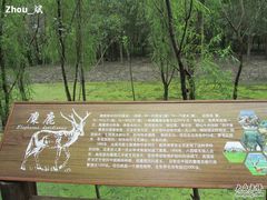 -溱湖国家湿地公园