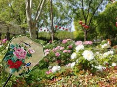 -洛阳市隋唐城遗址植物园