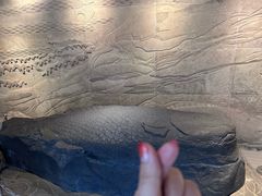 -白鹤梁水下博物馆