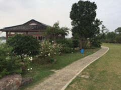 景点-鹅湖玫瑰文化园