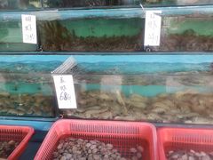 水产区-新享乐海鲜(翠华路店)