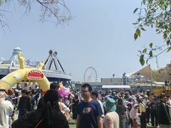 -秦皇岛乐岛海洋王国