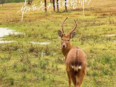 -良渚古城遗址公园