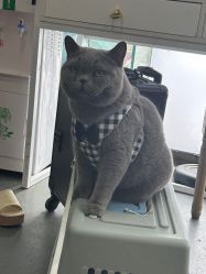 -你好晴天·目的地婚礼