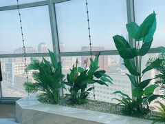 -海底捞火锅(振华广场生日主题店)