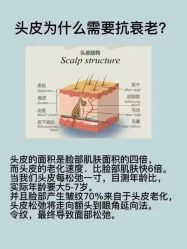 点击看大图 -诗碧曼养发
