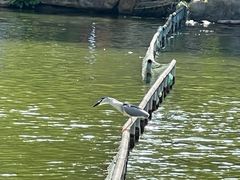 -珠海圆明新园