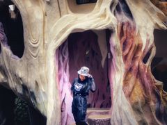 -疯狂屋