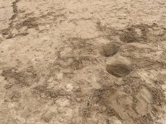 -宁波松兰山滨海旅游度假区