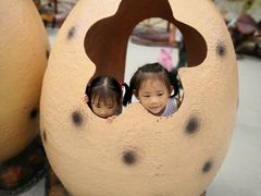 -梦幻奥陶纪景区