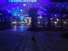 -三亚海昌梦幻海洋不夜城