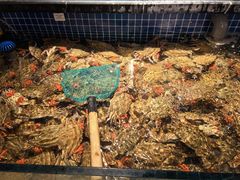 -小厨师·二十年沈家门小海鲜(百井坊巷店)