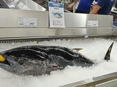 -家乐福会员店(南翔店)