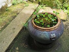 -东梓关景区村庄