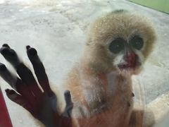 -石家庄市动物园