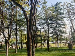 -咸阳湖景区-古渡公园