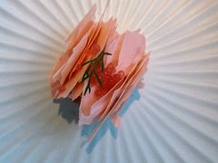 -Tomacado花厨(One ITC店)