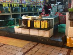 -鸿达渔港