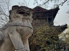 -莲池书院博物馆