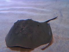 -沈阳海洋探索中心